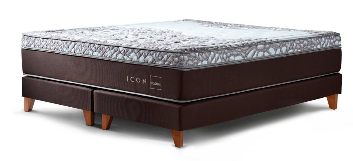 CAMA ICON 1